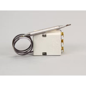 Server 55.13221.040 Thermostat 15" 110C For 05550 /80050 (FSPWI-SS)