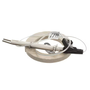 Rational 876100 Ignition Electrode Kit for Steam Generator
