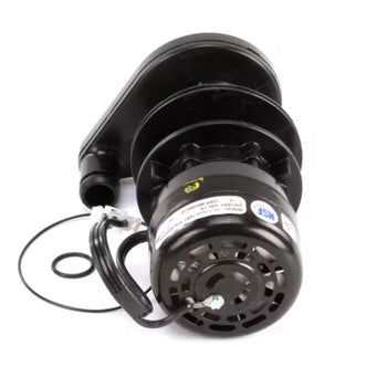 Manitowoc Ice 2008943 Water Pump 230V 50HZ 1PH for I0322/ID0322A/IY0324A/IY0524A
