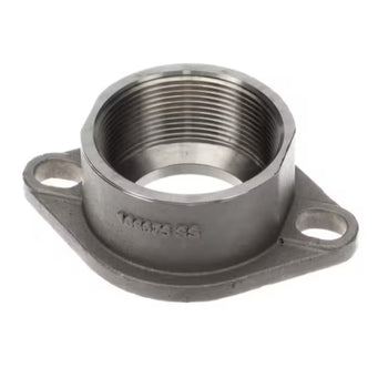 Armstrong Fluid Technology 106075-SS FLANGE SST 2NPT COMPANION