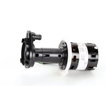 Scotsman GPP-55C-4B Water Pump 240V, C1722 for C0522, C1030-E, MC0830