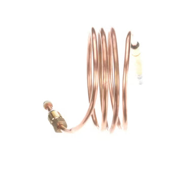 Electrolux Professional 1226 029017 Thermocouple M9X1 L=85CM