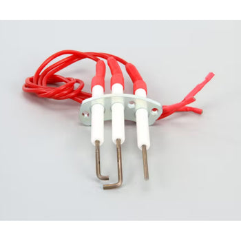 Electrolux Professional 0812 Ignitor Assembly With Electrodes for AOS061G series