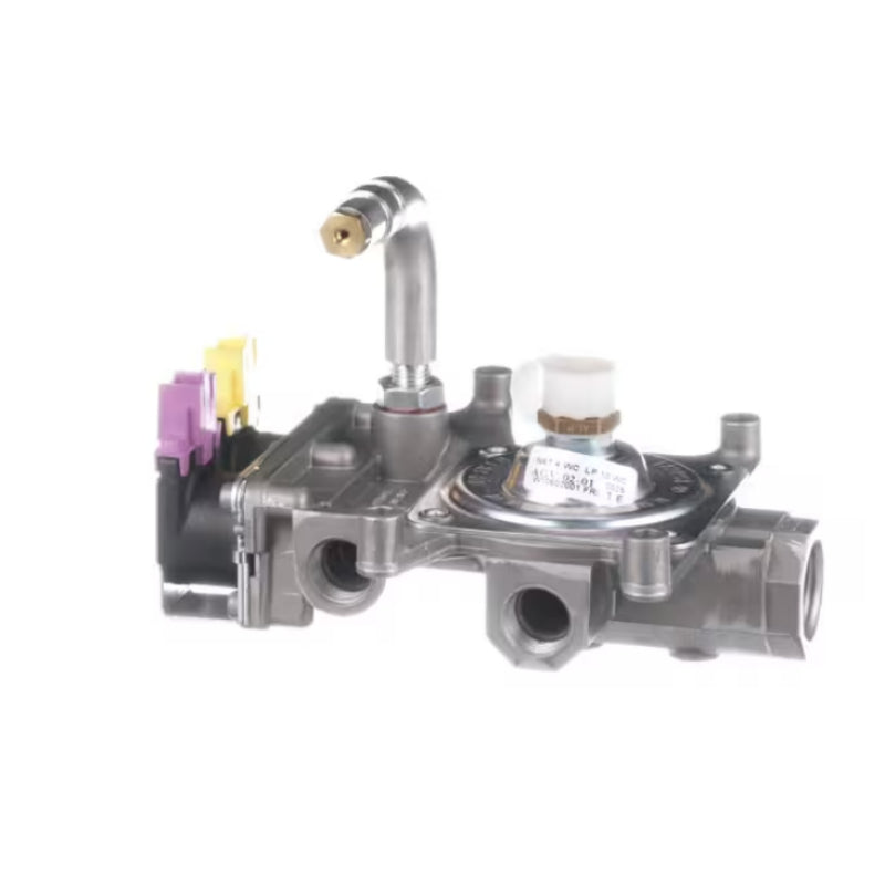 Whirlpool AGV-02-01 Safety Valve/Pressure Regulator with Natural Gas B ...
