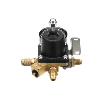 Cornelius 2981280 Regulator with Gauge Water 0-100 PSI 1X100 1-1/4FL