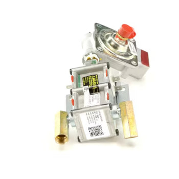 Samsung A2004072INAT Gas Safety Valve/Regulator Assembly Range/Wall Oven