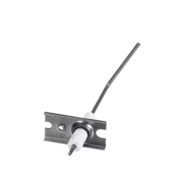 International CP PSE-CE30 Flame Sensor for PDS4 units